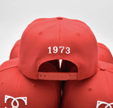 Load image into Gallery viewer, 1973 Snapback Hat